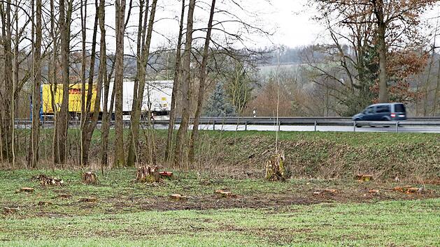 Gerodet ist das kleine Wäldchen neben der Bundesstraße. Dort wird Ludwigschorgast ein Regenrückhaltebecken bauen.
