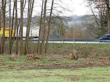 Gerodet ist das kleine W&auml;ldchen neben der Bundesstra&szlig;e. Dort wird Ludwigschorgast ein Regenr&uuml;ckhaltebecken bauen.