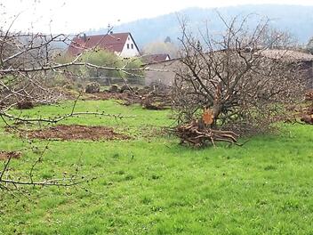 Die Besitzer von Streuobstwiesen drohen damit, diesem Beispiel aus Egloffsteinerhüll zu folgen.  Foto: Josef Hofbauer