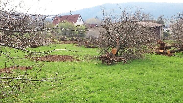 Die Besitzer von Streuobstwiesen drohen damit, diesem Beispiel aus Egloffsteinerhüll zu folgen.  Foto: Josef Hofbauer