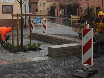 Die Bepflanzung  läuft in Oerlenbach auf Hochtouren.  Fotos: Stefan Geiger