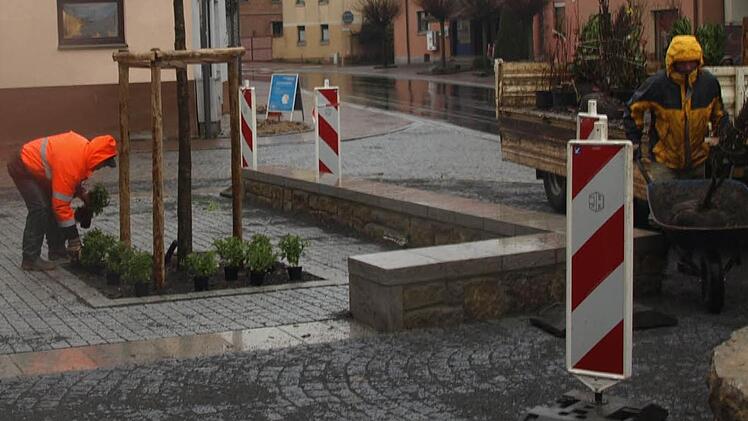 Die Bepflanzung  läuft in Oerlenbach auf Hochtouren.  Fotos: Stefan Geiger