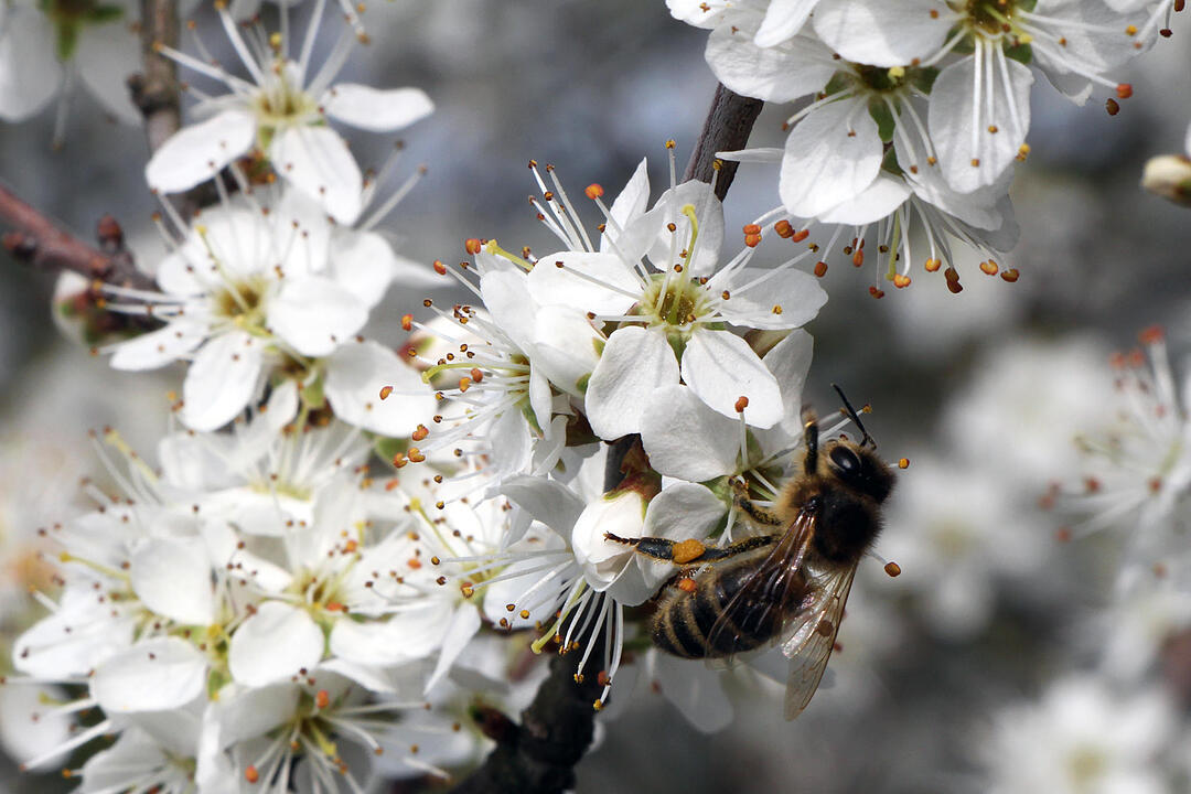 Fotos Konrad Thomann