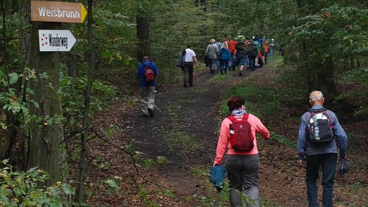 Gut ausgeschildert ist die "Fünf-Sterne"-Wanderung wie alle Wanderwege, die von den ehrenamtlichen Wanderwarten betreut werden.