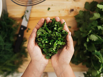 Koriander, Kraut, Kräuter, Gewürze