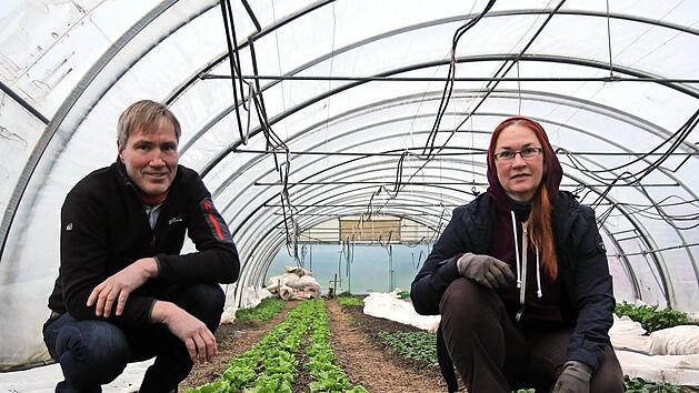 Gärtnerin Eva Fitzek und Michael Stromer freuen sich im Gewächshaus in Wolfsloch, wieder Ernteteile auszugeben.