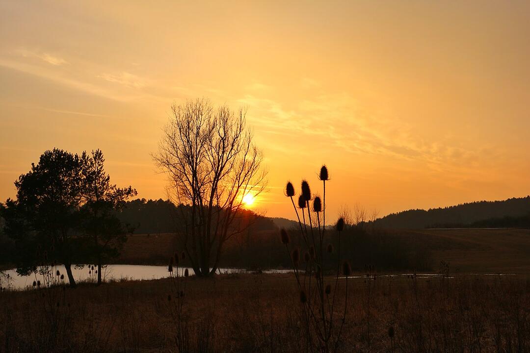 Die schönsten Frühlingsfotos aus Forchheim und Umgebung