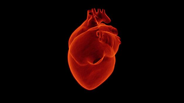 Verstopfte Arterien: Mit Ernährung einem Herzinfarkt vorbeugen