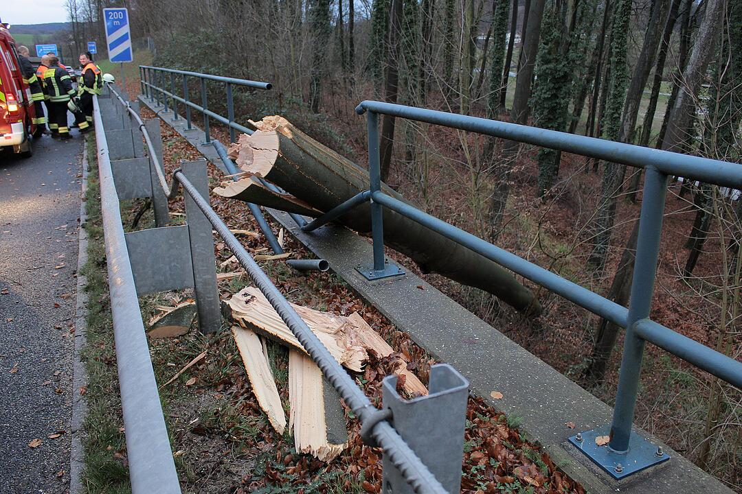Baum stürzt bei heftigem Sturm auf Autobahn
