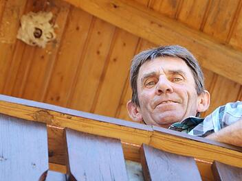Stefan Lenk freut sich über sein Hornissennest unterm Giebel über der Terrasse. Fotos: Andreas Dorsch