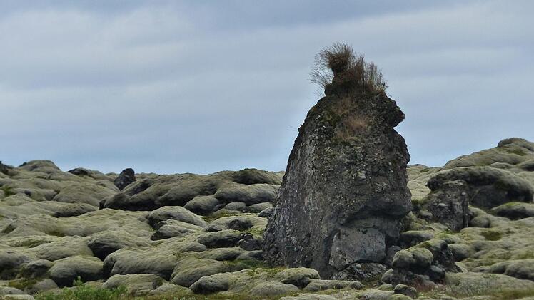 Auf matratzendick mit Moos bedecktem Lavafeld steht dieser lustige Stein-Troll. Foto: privat
