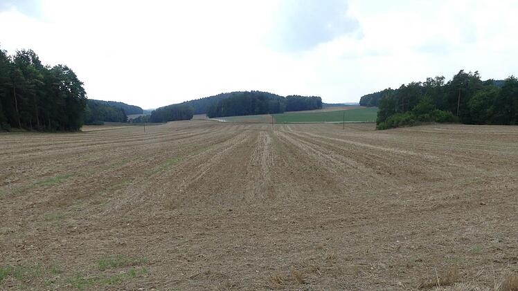Die Flurbereinigung in Wüstenstein Foto: Paul Pöhlmann
