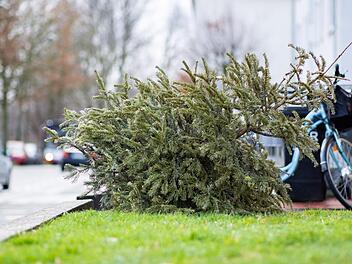 Unfall auf A73 bei Erlangen: Autofahrer prallt gegen Christbaum