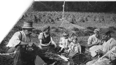 Adam Raab mit Familie bei der Ernte. Foto: Wolfgang Raab