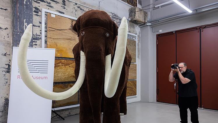 Geh&auml;keltes Mammut - Rekord