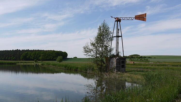 Der Aischgrund und seine typische Weiherlandschaft bieten viele idyllische Anblicke. Foto: Pauline Lindner