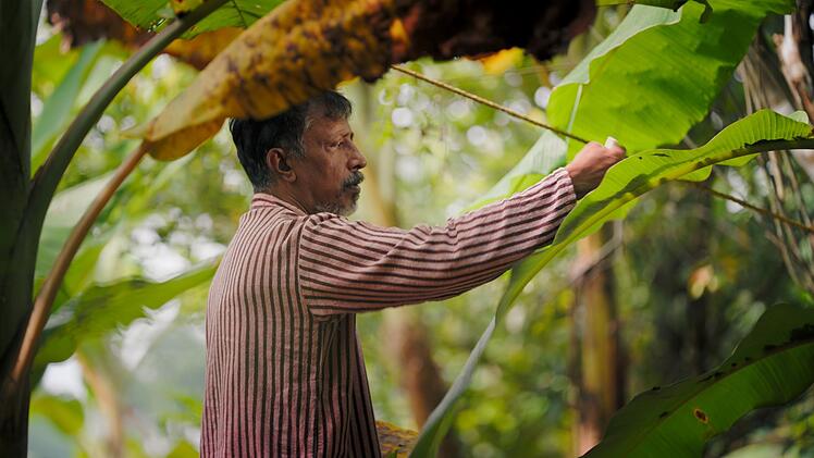 Der indische Arch&auml;ologe Benny Kurian studiert nach Ansicht alter H&ouml;hlenzeichnungen die Beschaffenheit der Bananenbl&auml;tter als Plastikersatz.