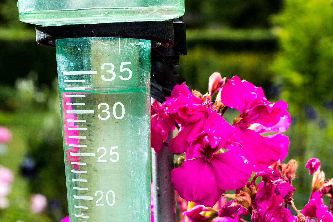 Fotos Konrad Thomann