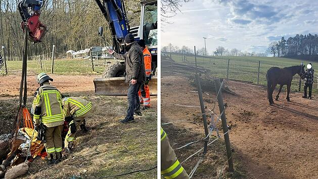 St&uuml;rzte im Kreis Bayreuth in Graben: Feuerwehr befreit Pferd aus misslicher Lage - und geht hohes Risiko ein