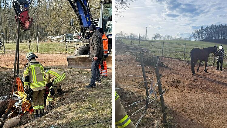 Stürzte im Kreis Bayreuth in Graben: Feuerwehr befreit Pferd aus misslicher Lage - und geht hohes Risiko ein