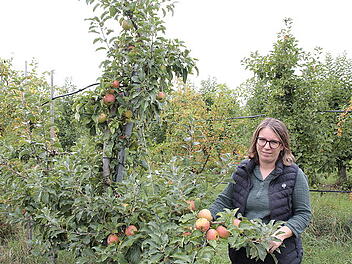 Kreis Ha&szlig;berge: Was Hitzesommer mit der Ernte gemacht hat