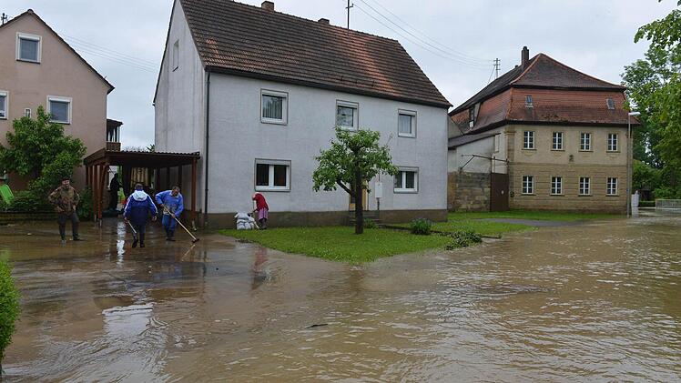 Wiesengiech. Foto:Ronald Rinklef