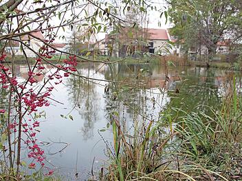 Anrüchig: der Dorfanger in Burgebrach Foto: Elke Pieger