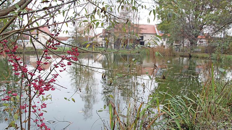 Anrüchig: der Dorfanger in Burgebrach Foto: Elke Pieger
