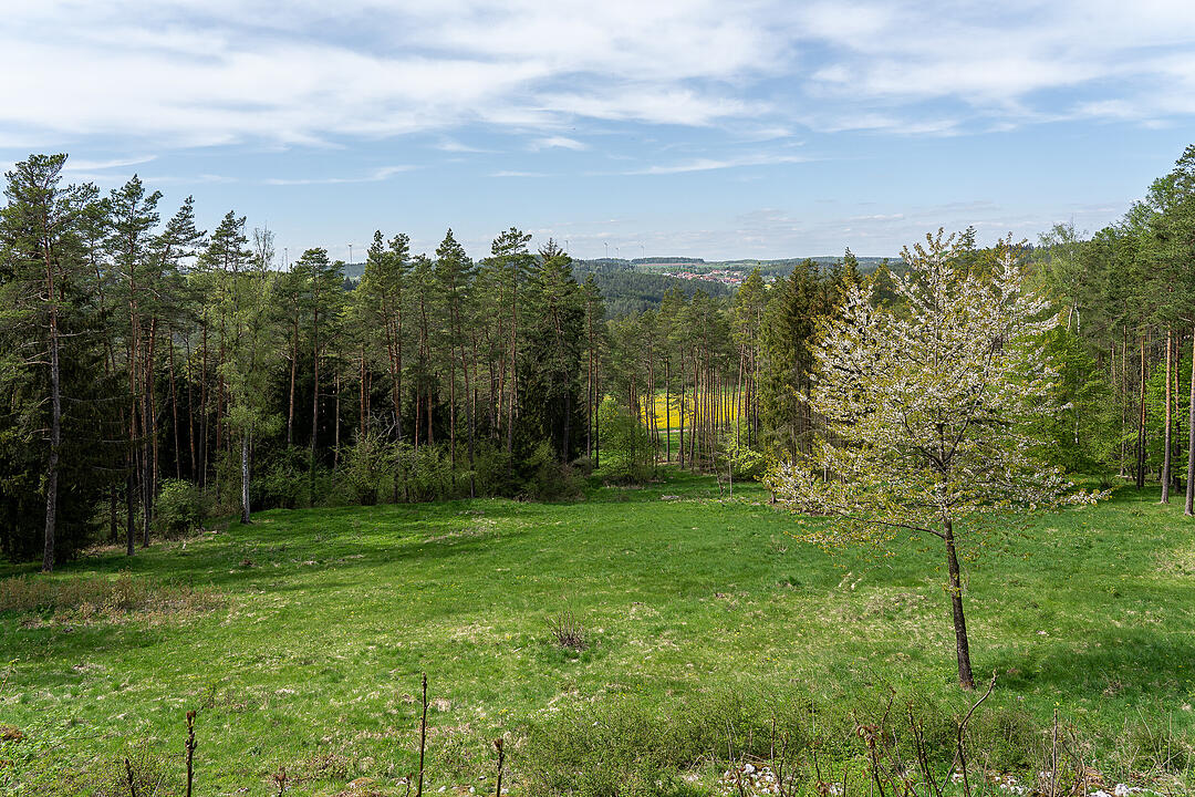 Der große Burgfels dient als toller Aussichtspunkt.