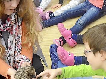So viel Igel war in der Schule noch nie. Foto: Karl-Heinz Hofmann