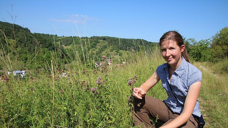 Aglaia Abel bei einer Begehung der Magerrasen oberhalb von Sulzthal. Foto: Ralf Ruppert
