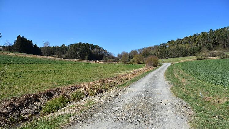Der Radweg wird teilweise &uuml;ber diesen &ouml;ffentlichen Feld- und Waldweg geleitet. Foto: Uschi Prawitz