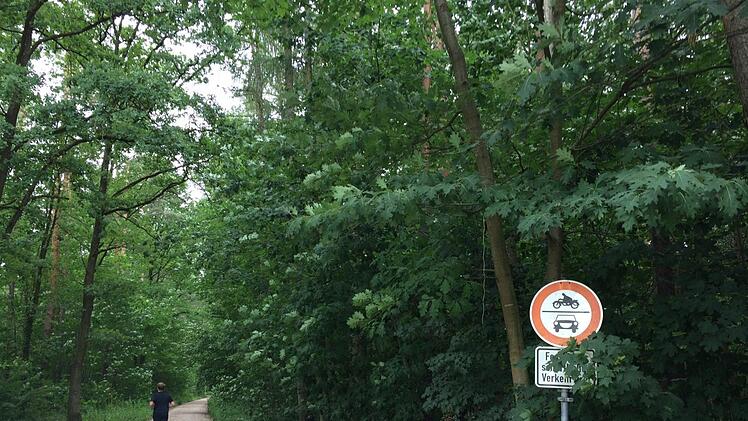 Hier soll am Sonntagnachmittag die Demonstration der  Bürgerinitiative "Für den Hauptsmoorwald" beginnen. Foto: Stefan Fößel