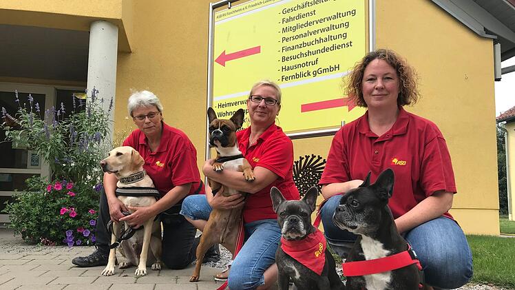 Der ASB-Besuchshundedienst in Forchheim. Von links: Petra Scholl mit Miro, Karin Fenzl mit Bella, Carola Jander mit Angel und Aiden Foto: Jutta Rudel
