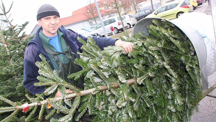 Matthias Bauer an der "Kanone", jener blechernen Tonne, mit der den Tannen und Fichten ein Netz übergestreift wird, so dass sie mit dem Auto abtransportiert werden können. Foto: Matthias Einwag
