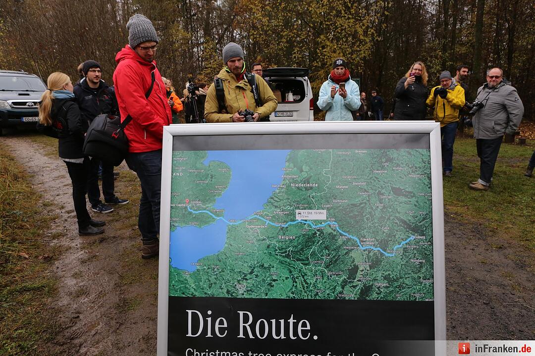 Christbaum für die Queen: Jetzt kann die Reise beginnen