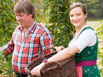 Tina-Christin Rüger bei der Hopfenernte in Kronach. Die frühere bayerische Bierkönigin hatte sich dafür eingesetzt, eine Bewerbung für die Cranach-Stadt als Genussort einzureichen. Foto: Maximilian Gröger