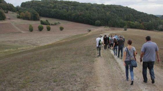 Verdorrte Wiesen und staubige Wege sahen die Stadträte bei der Stadt-Begehung im September. Wolfgang Weiß