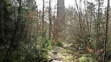 Frühlingsspaziergang zum Lucas-Cranach-Turm