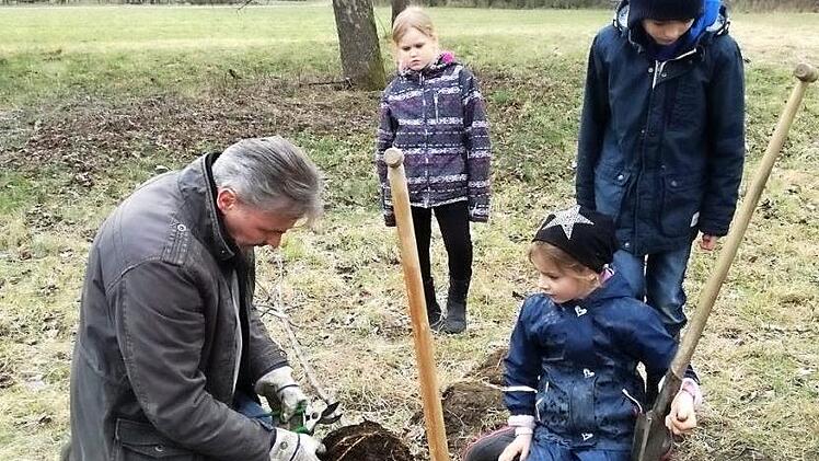 Bäume erkennen und Apfelbäume pflanzen auf einer Streuobstwiese waren Teil der Kinderaktion im Rahmen des Landeswettbewerbs der Obst- und Gartenbauvereine.  Foto: Mathias Erlwein