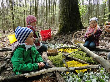 Die Kindergartenkinder aus Limbach sammelten Holz und Füllstoffe für ein Fachwerkhaus. Alles kommt aus der Natur und geht wieder in die Natur über, erkannte sie. Draußen im Wald kann man mit den richtigen Ideen schon den ganz Kleinen Nachhaltigkeit klar machen. Das wurde jetzt ausgezeichnet im Nachhaltigkeitszentrum in Handthal. Foto: Kindergarten Limbach