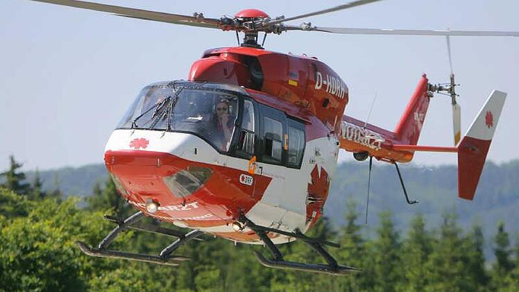 Bei einem tragischen Unfall wurde am Freitag ein 43-jähriger Arbeiter von einem gefällten Baum getroffen. Er verstarb noch an der Unfallstelle. Symbolbild: Jan-Peter Kasper /dpa