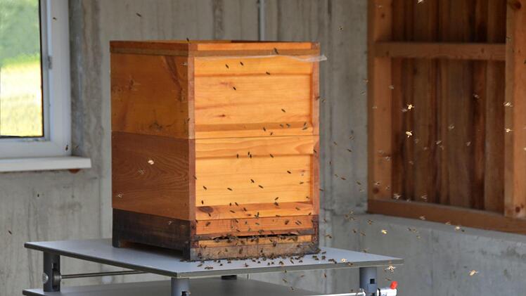 Am High-Tech-Bienenstock werdendie  Ein- und Ausflüge sekundengenau dokumentiert. Foto: Peter Rauch
