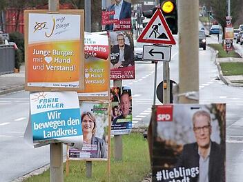 Jeder Lichtmast entlang der Adenauer-Alle und der Theodor-Heuss-Alle ist voller Wahlwerbung.