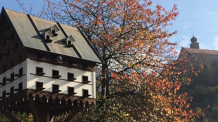 Die Stadt Kulmbach hat schon ein Taubenhaus im Pörbitscher Weg. Ein weiterer Taubenschlag, den ein Verein betreut, kommt im Parkhaus Basteigasse hinzu. Foto: Stephan Tiroch