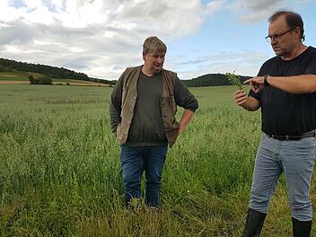 Landwirt Jürgen Simon mit Naturlandberater Werner Vogt-Kaute (rechts) am Linsen-Hafer-Feld bei Westheim.