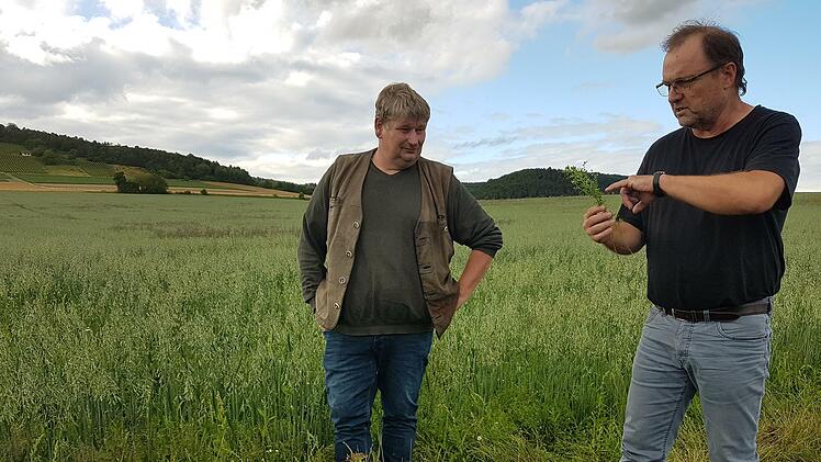 Landwirt Jürgen Simon mit Naturlandberater Werner Vogt-Kaute (rechts) am Linsen-Hafer-Feld bei Westheim.