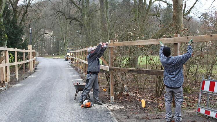 Hölzerne Leitplanken sollen die Bäume schützen.