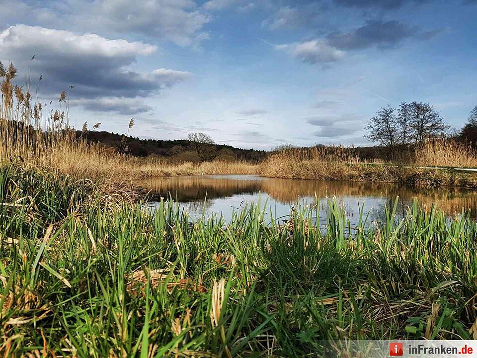 Leserbilder: Sommerliches Franken im März