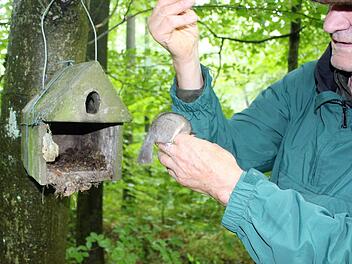 Herbert Schuhmann kontrolliert von Zeit zu Zeit die Nistkästen, die er rund um Schönderling aufgehängt hat.  Foto: Julia Raab